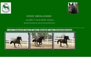 verdeandalusians.com: VERDE ANDALUSIANS
