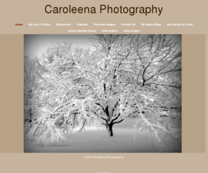 caroleenaphotography.com: Caroleena Photography & Visual Arts, LLC
Carol Lowbeer is a Connecticut Photographer specializing in Nature Photography, Weddings and Portraits.  She resides in the Farmington Valley but travels all over Connecticut. She is a member of The Connecticut Professional  Photgraphy Association and the Professional Photography association of New England. She lives and works in Farmington, Connecticut but travels all over Connecticut and Massachusetts