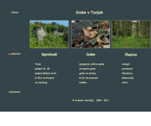 mycoflora.com: gobe v Turjah
gobe v turjah, slike gob, pilze im turiawald, fungi of turiawald, funghi del turiawald, champignons de turiawald;