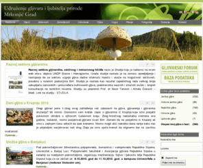 gljive.com: Gljive.com - Udruženje gljivara i ljubitelja prirode
Razvoj sektora gljivarstva, održivog i inkluzivnog tržišta naziv je Studije koju je nedavno na svom web site-u objavio UNDP Bosne i Hercegovine. Izrada studije nastala je na osnovu opredjeljenja i