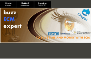 buzzecmexpert.com: buzz ECM expert - Expert in ECM Technology
Expert in ECM Technology