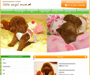 poodle.nu: お顔の可愛いプードルならlittle angel mom
ここにサイト説明を入れます
