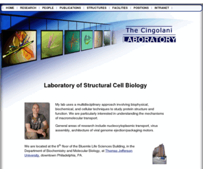 cingolanilab.org: Cingolani Laboratory at Thomas Jefferson Univesity
Laboratory of Structural Cell Biology