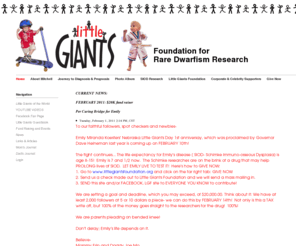 littlegiantsfoundation.org: Little Giants Foundation - Home
