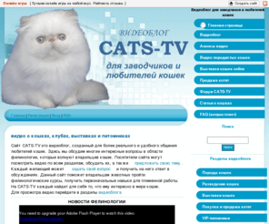 cat-portal.org: CATS-TV - видео о кошках, клубах, выставках и питомниках
