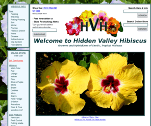 exotic-hibiscus.com: Hidden Valley Hibiscus - Exotic, Tropical Hibiscus Hybrids
Hibiscus plants for sale, hibiscus care information, exotic tropical hibiscus flowers. Largest hibiscus website on the internet.