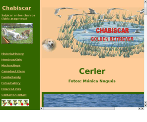 chabiscar.com: Chabiscar Golden Retriever
chabiscar golden retriever fabla aragonesa