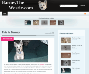 barneythewestie.com: Barney the Westie
This page is dedicated to the best dog in the word, Barney the Westie.