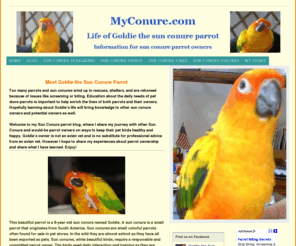 myconure.com: Sun Conure pet parrot information from a sun conure owner
This website is dedicated to educating people about sun conures and common issues with pet parrots such as biting and screaming. Tips on basic sun conure care, training, and behavior are featured as well.