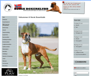 norskboxerklubb.no: Norsk Boxerklubb
Norsk Boxerklubb's hjemmeside