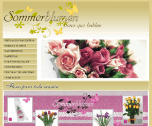 sommerblumen.com: Sommerblumen
