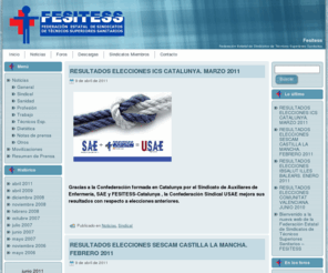 fesitess.org: Fesitess - Web300.es
