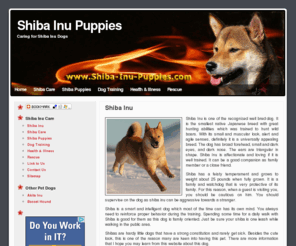 shiba-inu-puppies.com: Shiba Inu Puppies
Akita inu puppies caring information to understand shiba temperament and guide on how to train and handle them as a shiba inu dog owner.