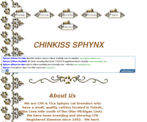 chinkiss-sphynx.com: Sphynx Cats | Sphynx Kittens | Ohio | Michigan Chinkiss