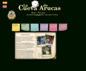 criaderolacueva.com: Criadero de West Highland White Terriers La Cueva de Arucas
Slide Down Box Menu with jQuery and CSS3