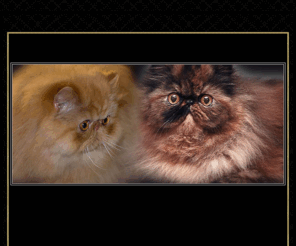cgd-creations.com: Monella Persians
Premier Persian cat website in Malta