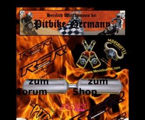 pitbike.de: Herzlich willkommen bei Pitbike-Germany
Pitbike-Germany - das Pitbike-Forum ... Shop ->  Pitbikes, Ersatzteile,  Zubehr, Tuning - Pitpro, CRZ u.a.