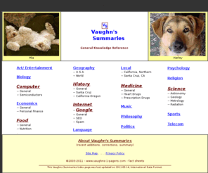 vaughns-1-pagers.com: Vaughn's Summaries - General Knowledge Reference
A reference collection of general knowledge fact sheets - one-page summaries of common subjects - biology, computer, economics, food, geography, google, internet, medicine, politics, religion, science, etc.