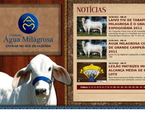 aguamilagrosa.com.br: .// Fazenda Água Milagrosa ///////////////
O maior depositário genético da raça Tabapuã no mundo.