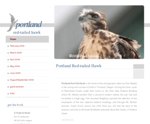 portlandredtailhawk.com: Portland Red-tailed Hawk
pictures of a red-tailed hawk born in portland oregon 2006
