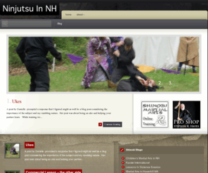 ninjutsu-in-nh.com: Ninjutsu In NH | Shinobi Martial Arts in Plaistow NH | 603-382-9456
Ninjutsu in NH is one of the best martial arts, ninjutsu and self defense blogs talking about fighting martial arts. It is a part of the Shinobi Martial Arts Blog Network serving Plaistow NH and Haverhill MA.