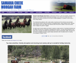 samariacreekmorgans.com.au: Samaria Creek Morgan Farm
Samaria Creek Morgan Horse Farm in North East Victoria is a 240 acre property situated at the foothills of Mt Samaria between Mansfield and Benalla