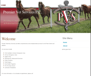 premiervetservices.com: Welcome
Default description goes here