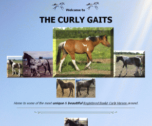 thecurlygaits.com: index
Home The Curly Gaits