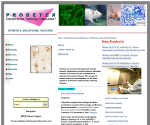 probetex.com: Probetex INC.
