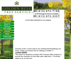 treeservicekc.com: Golden Rule Tree Service - Home
Kansas City Tree Service, Golden Rule Tree Service, KC MO, Tree Removal, Pruning, Brush Chipping, Stump Grinding, Free Estimates, Parkville, Claycomo, KCMO, KC, Northland, Liberty, Kearney, Excelsior Springs, Gladstone, Pleasant Valley, Claycomo, Platte City, North Kansas