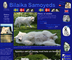 bilaika.dk: Kennel Bilaika - Bilaika Samoyeds
Kennel Bilaikas samojedhunde i ord og billeder - Bilaika Samoyeds in words and pictures