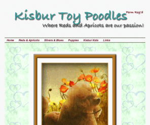 kisburtoypoodles.com: kisbur red toy poodles
small Toy Poodle Show Kennel, breeding and showing quality silver, blue, apricot and red Toy Poodles. Puppies occaisionally availabe, tinies sometimes. Boarding,grooming and stud services. Puppies occaisionally available. Tinies sometimes.Country setting near Ottawa, Canada. See photos of our dogs and puppies.