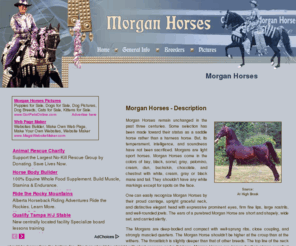 morgan-horses.org: Morgan Horses
General resource of breeders, clubs and associations, including a selection of Morgan Horse pictures and informational links.
