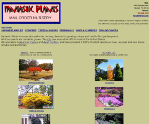 fantasticplants.com: Fantastic Plants - Japanese maples and conifers
A mail order nursery specializing in Japanese maples, conifers, and other new, unusual, and rare trees, shrubs, and perennials.  Plants for gardeners.
