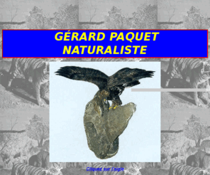 gerard-paquet.net: gerard paquet naturaliste taxidermiste
gerard paquet naturaliste taxidermiste propose l'art de la taxidermie.il exerce la naturalisation d'animaux dans le bourbonnais, deneuille les mines dans l'allier, il possède un élevage de daims.il présente un musée d'hitoire naturelle, il pratique la vénerie, il chasse à courre avec le rallye val de l'oeil.