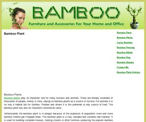 bamboo-plant.net: Bamboo Plant - All About Bamboo Plants
Bamboo plants are becoming more popular. Bamboo is a type of grass and the world's fastest growing plant. Can you believe that there are bamboo plants which can grow one meter a day? Some can get 40 meters high.