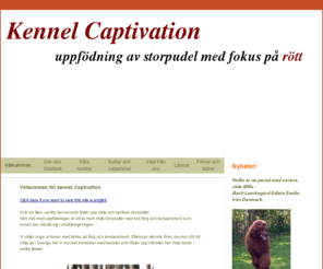 captivation.se: Kennel Captivation - Uppfdare av gonfngslande storpudlar
