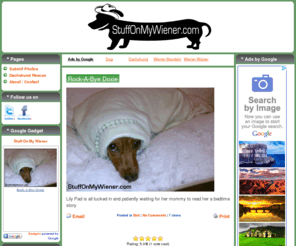 stuffonmywiener.com: Stuff On My Wiener - Stuff On Dachshunds
