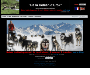 alaskanmalamutes.fr: De la Coleen d'Urok - Le Malamute d'Alaska
De la Coleen d'Urok - Le Malamute d'Alaska - Gérald : élevage familial de chiens de traineau de la race Alaskan Malamute avec blog, FAQ, description, standard, photos et vidéos, webcam, pedigree, généalogie, activités randonnées, montagnes, VTT, dans les Hautes Pyrénées, en France : chiots à vendre