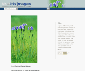 blueirisimages.com: Blue Iris Images
