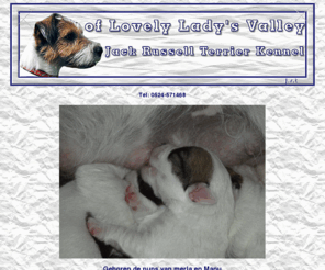 jackrussell-terrier.nl: Welkom bij de Jack Russell Terrier Kennel of Lovely Lady's Valley
Startpagina van of lovely lady's valley