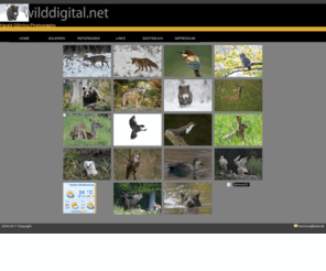 wilddigital.net: wilddigital
Deutschlands Wildtiere