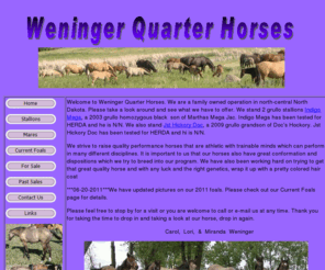 weningerquarterhorses.com: Weninger Quarter Horses
Weninger Quarter Horses, home of Indigo Mega and Heza Pretty Poco, raises cutting and reigning bred, AQHA registered quarter horses. Come check out what we have for sale.