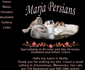 marjapersians.com: Marja Persians
Marja Persians, Persian Sales in Minnesota