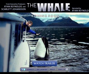 savingluna.com: THE WHALE - narrated by Ryan Reynolds
THE WHALE is the true story of a young killer whale, an orca nicknamed Luna, who makes friends with people after he gets separated from his family on the rugged west coast of Vancouver Island, British Columbia. As rambunctious and surprising as a visitor from another planet, Luna endears himself to humans with his determination to make contact, which leads to laughter, conflict and unexpected consequences.