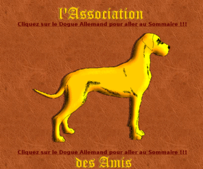 amidal.fr: L Association des Amis du Dogue Allemand
L Association des Amis du Dogue Allemand, Associaiton réunissant les passionnés, propriétaires, éleveurs autour du Dogue Allemand.
