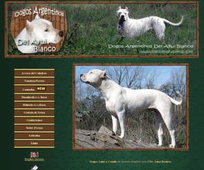 dogosdelayuiblanco.com: Dogo Argentino Criadero de Dogos Argentinos Del Ayui Blanco
Dogo Argentino - Criaderos de Dogos Argentinos Criadores de Dogo Argentino. Dogos Argentinos breeders Del Ayui Blanco - Argentina