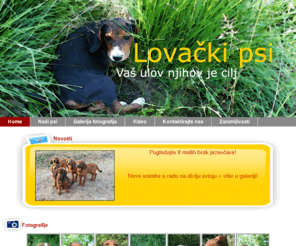 lovacki-psi.com: Lovacki psi - Pravi pas za pravog lovca!
Pronadite pravog psa za Vas siguran ulov i obratite nam se sa povjerenjem, jer uzgojem i dresurom pasa bavimo se punih 35 godina.