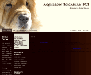 aquillontocarian.com: Hodowla psów rasy Chow Chow - Aquillon Tocarian FCI
