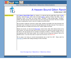 giltongoats.com: Gilton Goats For Sale - Heaven Bound Gilton Ranch, goats for sale, goats for show, breed and goat meat.
goats for sale - Heaven Bound Gilton Ranch, breeders of goats, boer goats. Goats for show, sale and meat